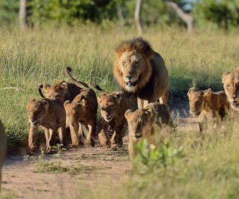 Tours to Kenya and Tanzania